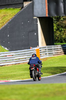 Oulton-Park-20th-March-2020;PJ-Motorsport-Photography-2020;anglesey;brands-hatch;cadwell-park;croft;donington-park;enduro-digital-images;event-digital-images;eventdigitalimages;mallory;no-limits;oulton-park;peter-wileman-photography;racing-digital-images;silverstone;snetterton;trackday-digital-images;trackday-photos;vmcc-banbury-run;welsh-2-day-enduro